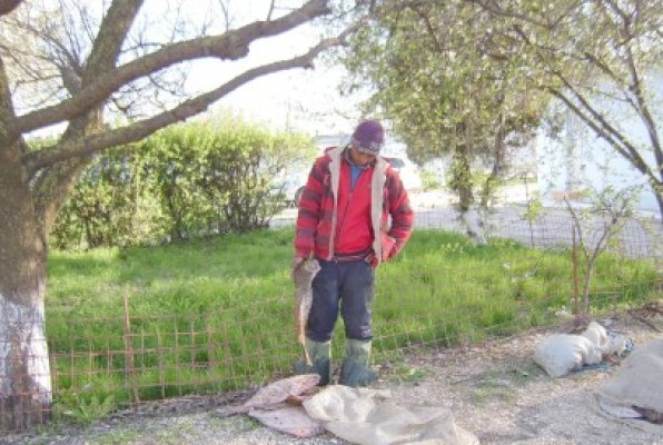 Braconieri de calcan, prinşi de Garda de Coastă